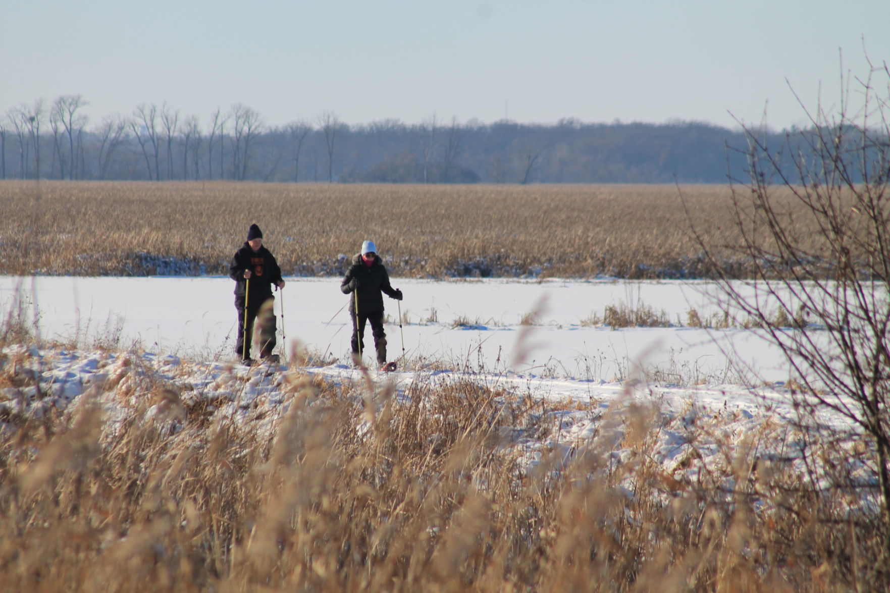 Snowshoeing at the marsh